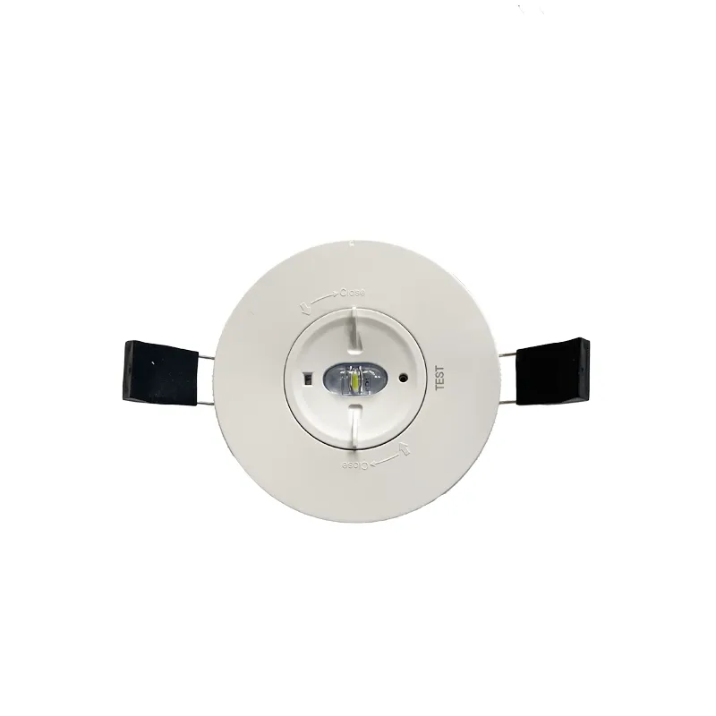 LED núdzové podhľadové svietidlo 2W / 3h / IP20 - LEL502